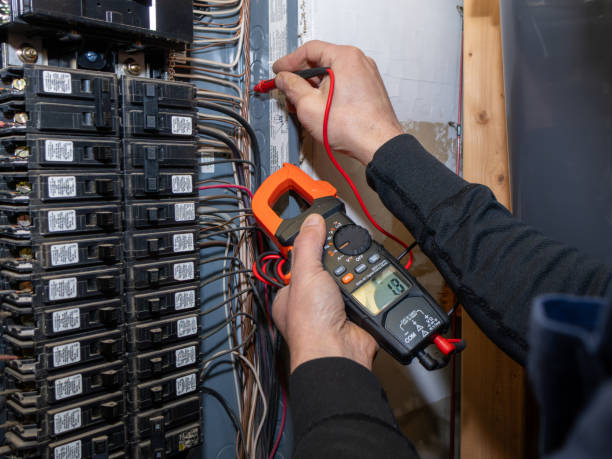 Best Electrical System Inspection  in Upper Ack, NY